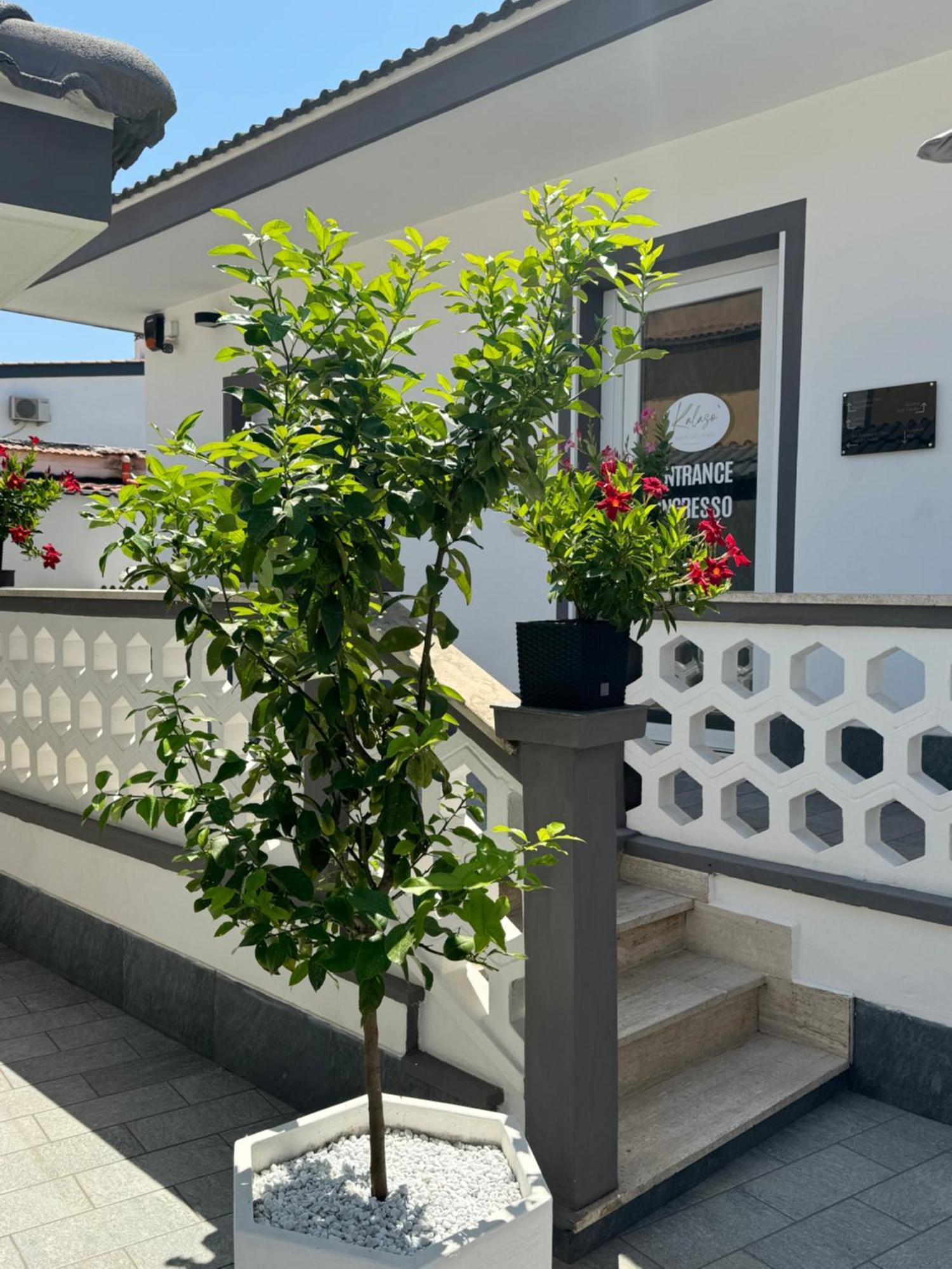 Kalaso Design Guest House - Rome Airport 菲乌米奇诺 外观 照片